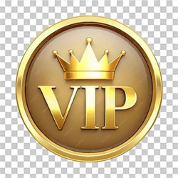 VIP Ticket